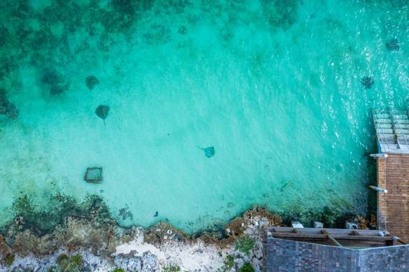 Carnival Cruises - Half Moon Cay 8, Credit. Boldman Media.jpg
